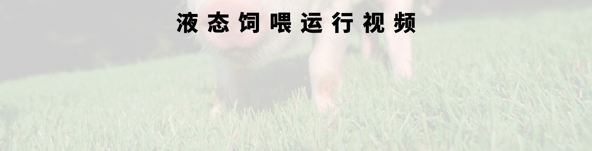 js4399金沙线(中国)有限公司-BinG百科