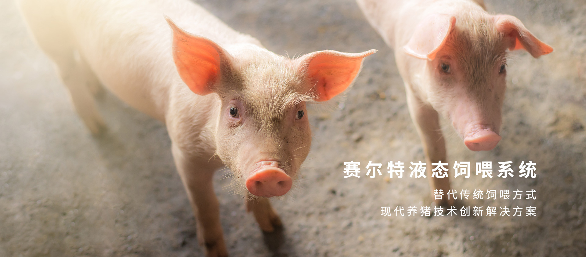 js4399金沙线自动化