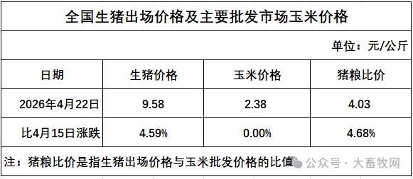 猪粮比